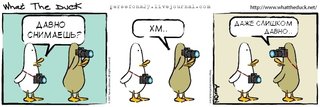 Обложка: What The Duck
